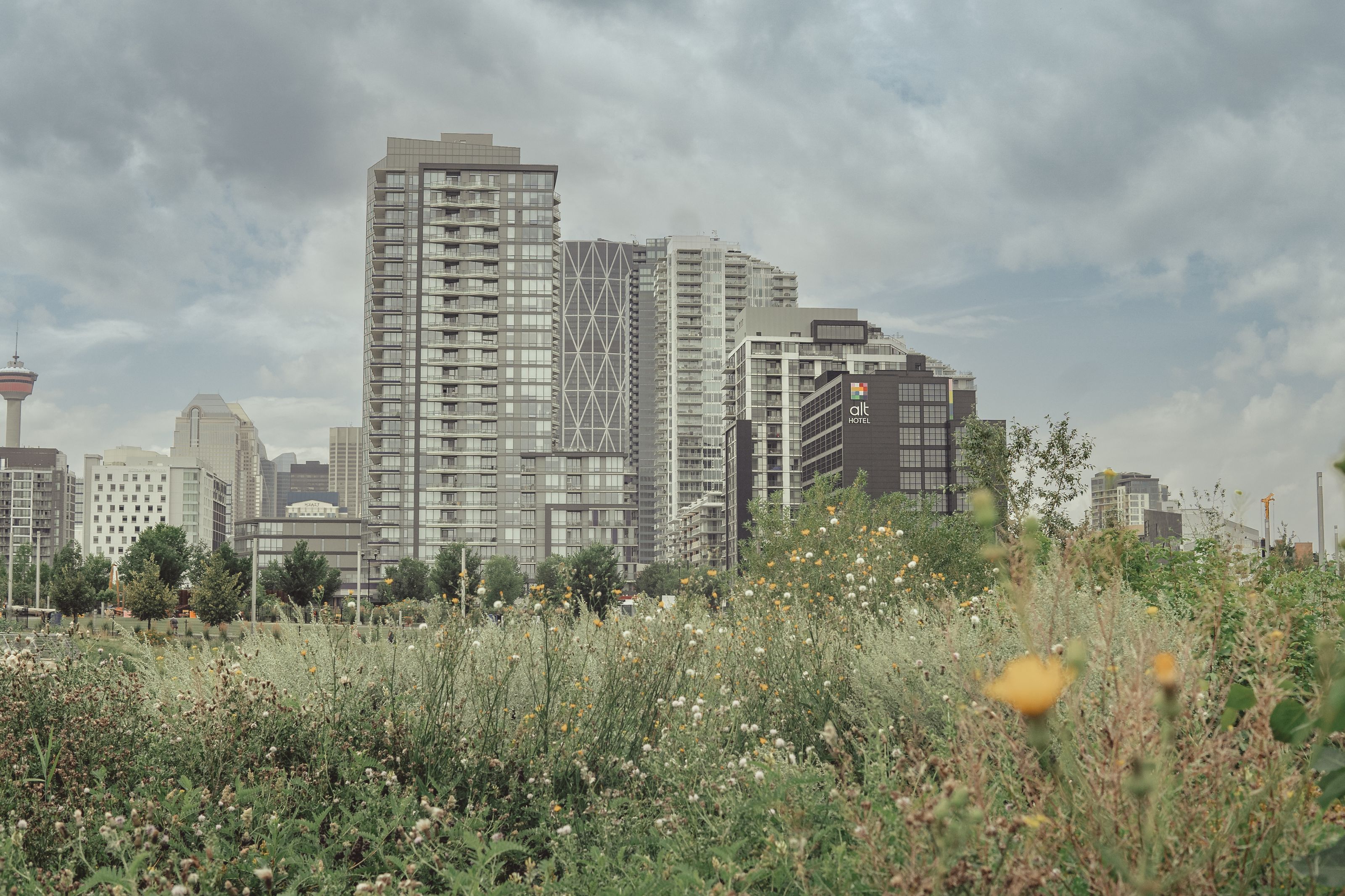 Calgary condo towers